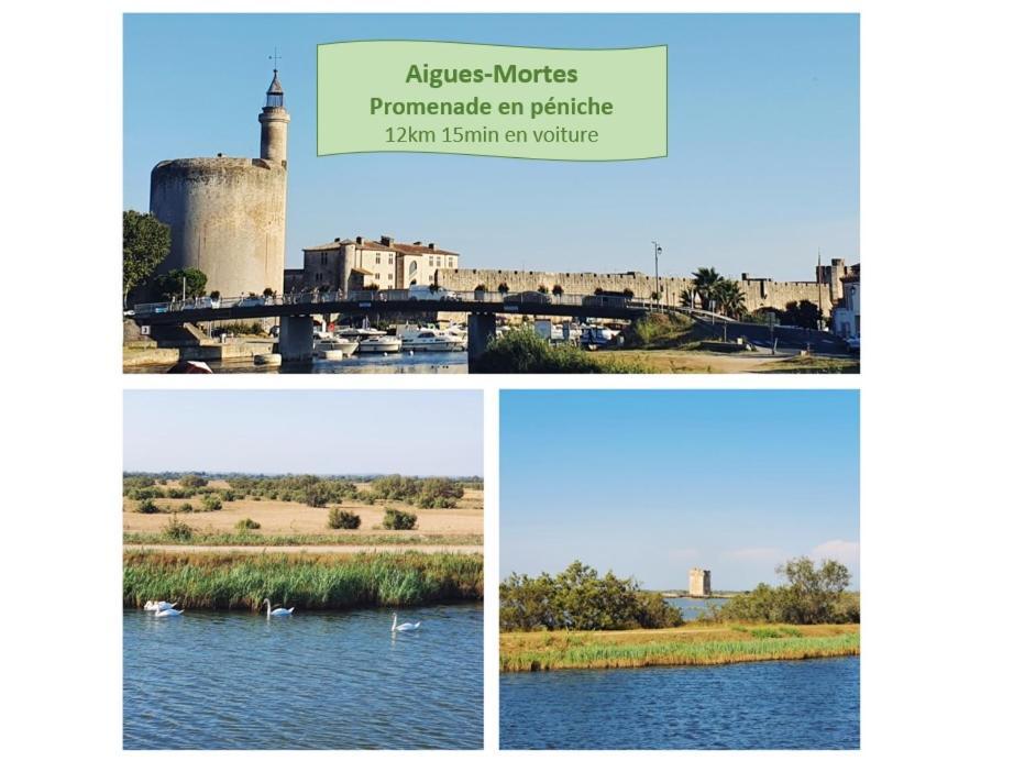 L'Olympe Vue Lac Parking Clim Wifi - Rossiconciergerie - Linge Inclus La Grande-Motte Eksteriør bilde